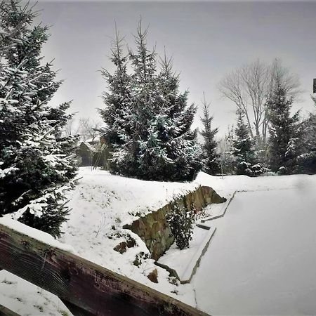 Cottage Ozerniy Laseschtschyna Exterior foto